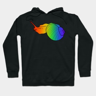 rainbow snail Hoodie